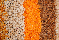 Grãos campeões da imunidade