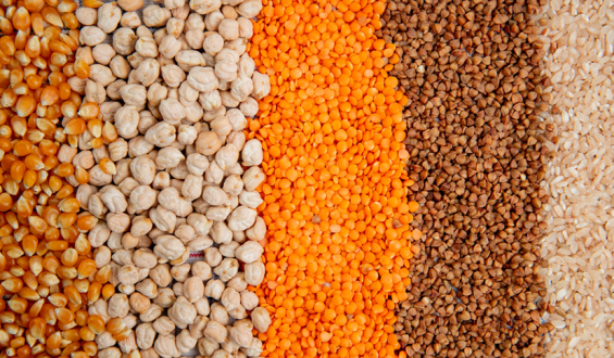 Grãos campeões da imunidade