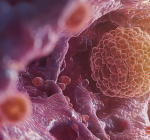 Desinformação e preconceito com exames e vacinas ainda são os  principais gargalos na prevenção do câncer no Brasil