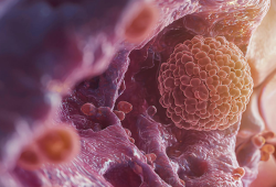 Desinformação e preconceito com exames e vacinas ainda são os  principais gargalos na prevenção do câncer no Brasil