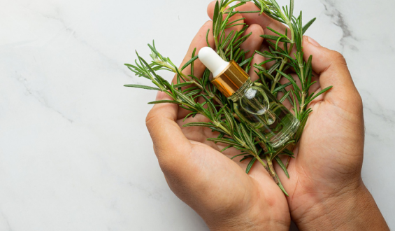 Como montar a farmácia natural dos sentidos em casa