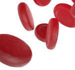 Especialista da BP relata o que é Verdadeiro ou Falso sobre as doenças hematológicas no Brasil