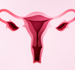 Reserva ovariana: o que toda mulher precisa saber sobre o seu relógio biológico