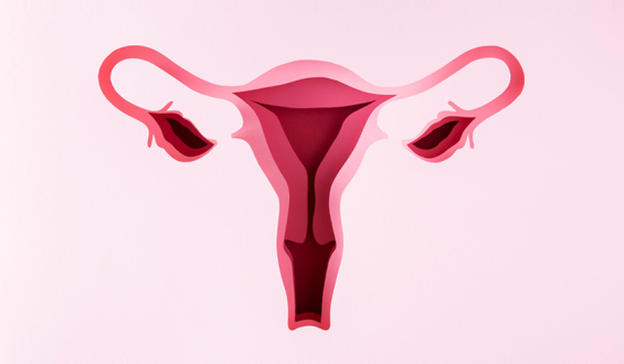 Reserva ovariana: o que toda mulher precisa saber sobre o seu relógio biológico