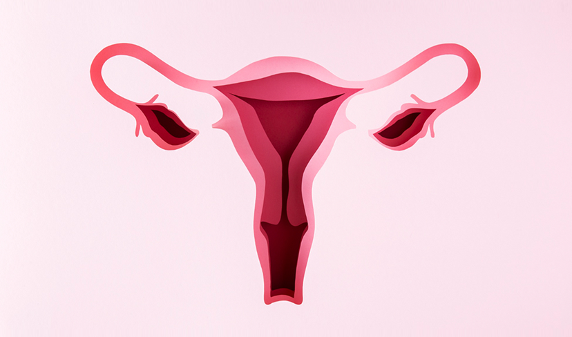 Reserva ovariana: o que toda mulher precisa saber sobre o seu relógio biológico