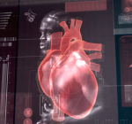 Campanha Coração Na Batida Certa 2025 tem foco na Nova Diretriz De Fibrilação Atrial, a arritmia cardíaca mais comum do Brasil