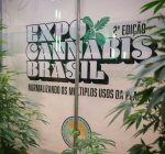 Brasil tem 672 mil pacientes em tratamento com cannabis medicinal, aponta levantamento.