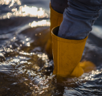 Cuidados com a saúde em períodos de fortes chuvas e enchentes