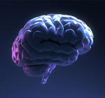 A neurociência por trás da conexão entre Alzheimer e AVC ganha destaque em novos estudos