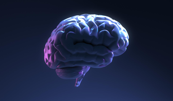 A neurociência por trás da conexão entre Alzheimer e AVC ganha destaque em novos estudos