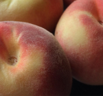 Quem sente mais prazer no sexo anal: homens ou mulheres?