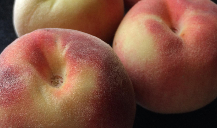 Quem sente mais prazer no sexo anal: homens ou mulheres?