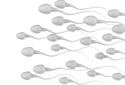 Esperma engorda? Saiba quantas calorias existem no sêmen