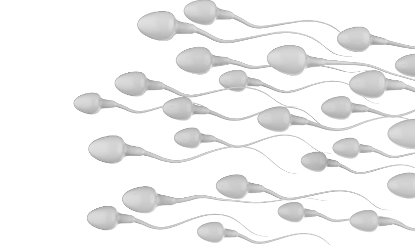 Esperma engorda? Saiba quantas calorias existem no sêmen