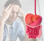 Ansiedade e intestino: como o estresse afeta o aparelho digestivo