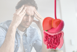 Ansiedade e intestino: como o estresse afeta o aparelho digestivo