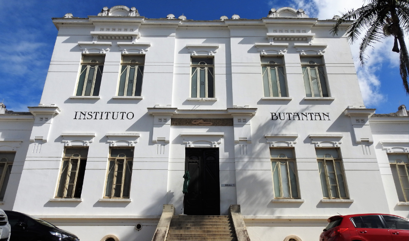 Quer ser cientista? Butantan abre inscrições para programa gratuito