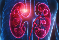 Dia Mundial do Rim: 5 hábitos que fazem mal aos rins e ninguém imagina