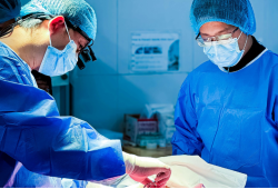 200 cirurgias bariátricas pelo SUS: mutirão nacional quer reduzir filas no Brasil