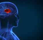 Pequena e poderosa: Conheça a glândula que decide se você dorme bem ou mal