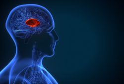 Pequena e poderosa: Conheça a glândula que decide se você dorme bem ou mal