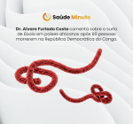 OMS declara surto de Ebola: entenda sobre formas de transmissão e riscos.