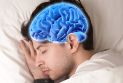 O cérebro realmente desliga quando dormimos ou continua funcionando?