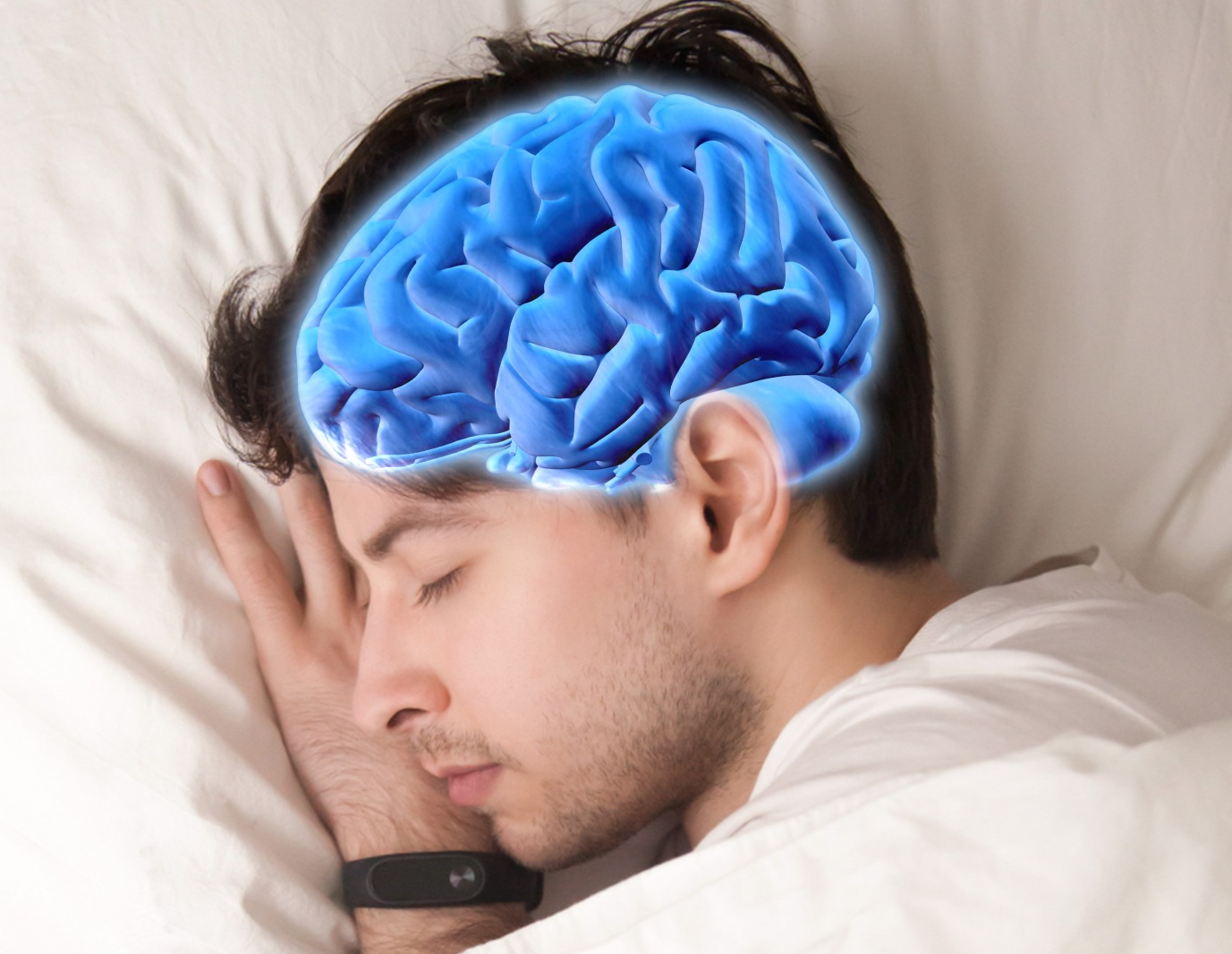 O cérebro realmente desliga quando dormimos ou continua funcionando?