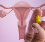 Probióticos vaginais: moda ou cuidado real com a saúde íntima?