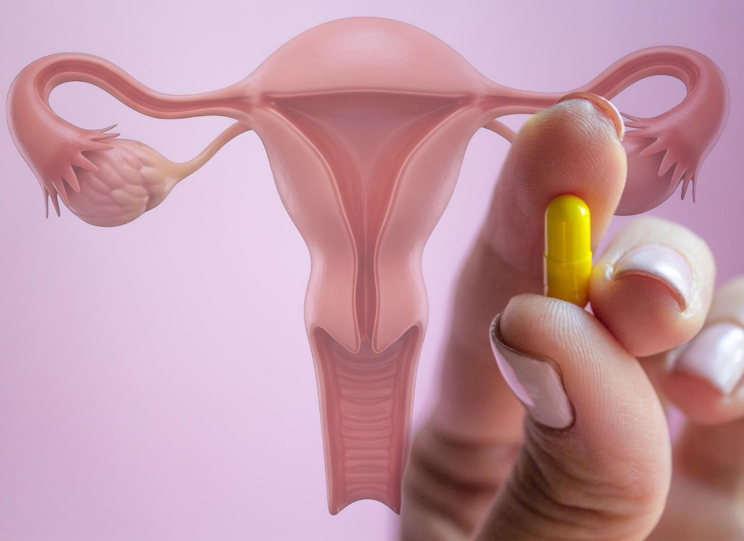 Probióticos vaginais: moda ou cuidado real com a saúde íntima?