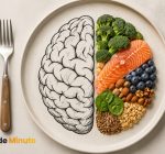 Dieta pode proteger o cérebro do Alzheimer?